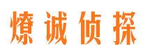 田林私家调查公司